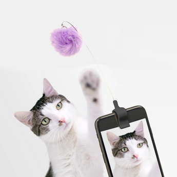 Close-up of Fuzzy Ball Attachment on Kitty Phone Clip