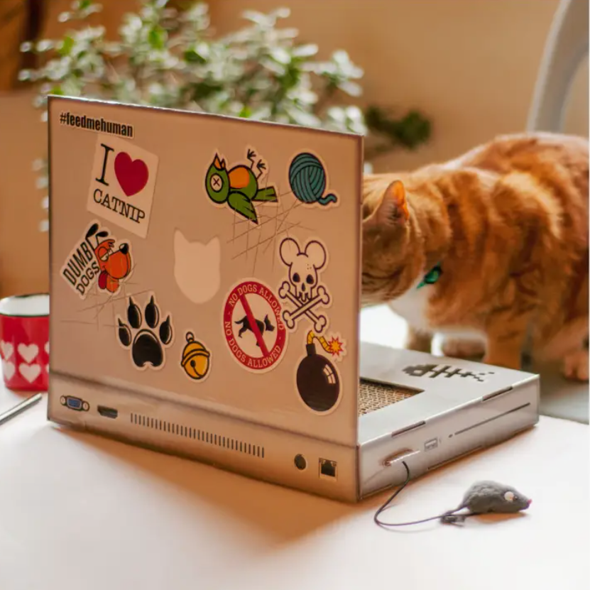 Cardboard Cat Scratch Pad Shaped As  A Laptop