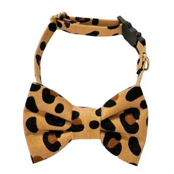 A fashionable Leopard Print Cat Collar and Bow Tie Set, showcasing chic leopard print collar and coordinating bow tie.