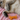 A cream and gray cat lies on pink bedding next to a small orange cat-shaped toy.