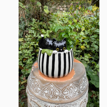 6.75”L x 6.75"W x 6.75”H ceramic cat-themed planter with drainage hole – a stylish blend of functionality and feline flair.
