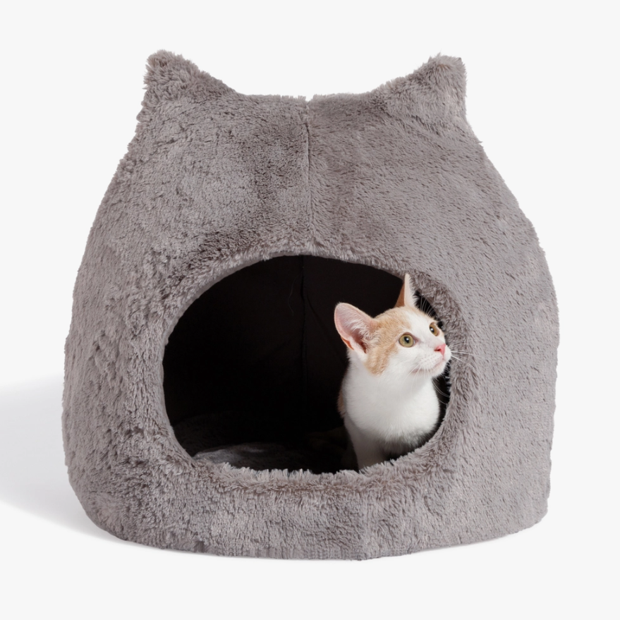 Purr-fect Cat Bed – Purrs and Whiskers