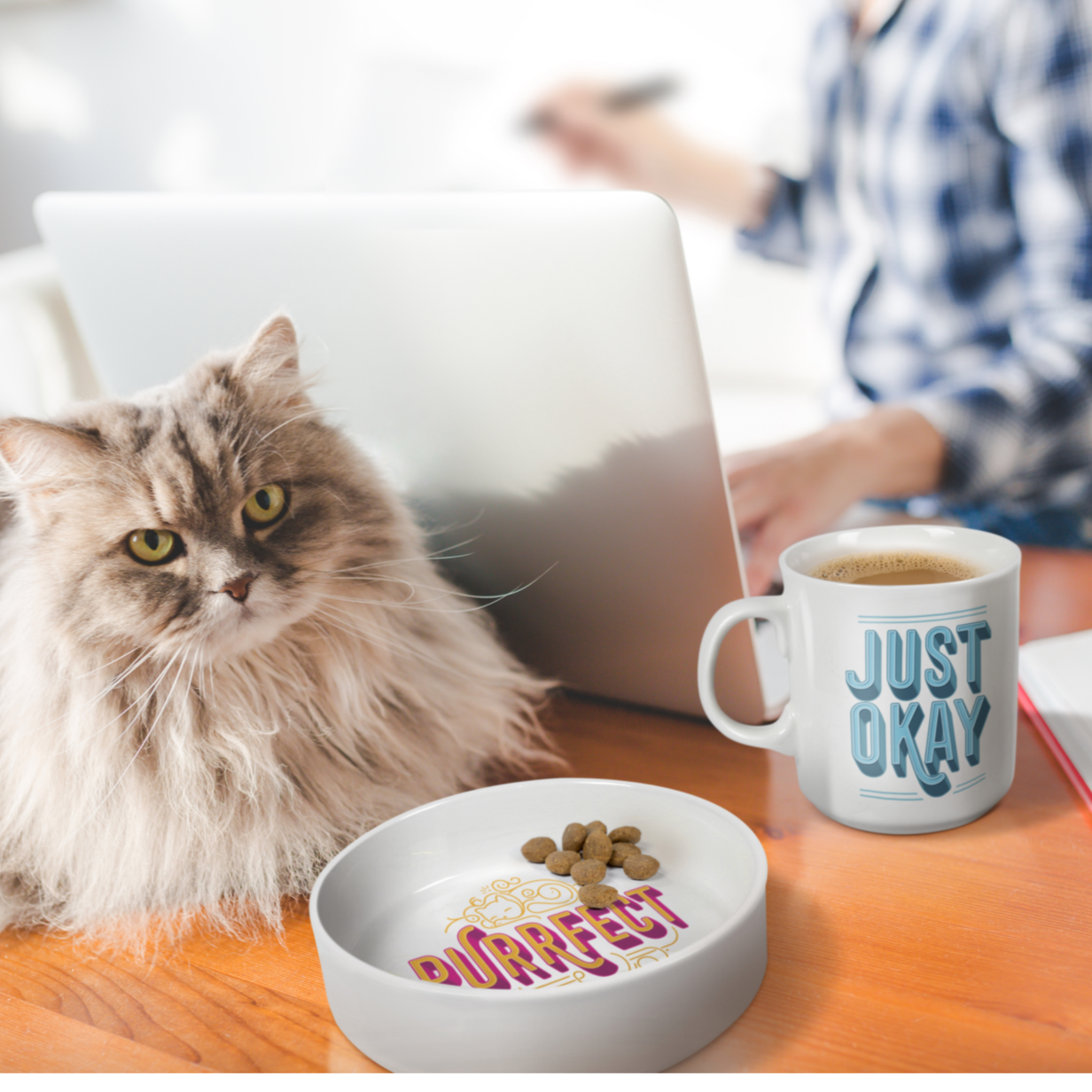 Funny Gifts For Cat Lovers, Funny Cat Lover Coffee Mug With The Words "Just Okay" And A Cat Food Bowl With The Words "Purr-fect" Printed On It