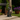 A bronze-finished cat garden statue sits on a concrete patio in a garden setting, with a butterfly perched on its head. The background features green grass, potted purple flowers, and a tree trunk.