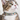 Spring Bouquet Cat Collar