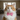 Sprinkle Cat Bow Tie