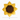 Adorable Sunflower Pet Bed - 24-inch diameter pet bed shaped like a sunflower.