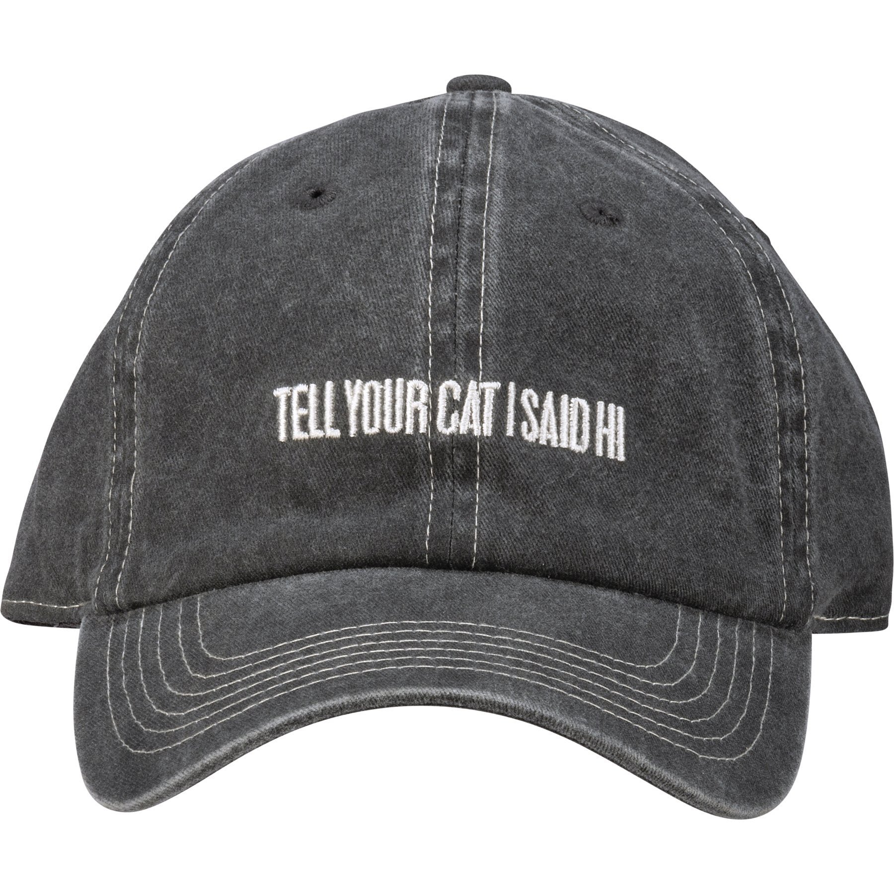 Cat Lover Baseball Cap, Tell Your Cat I Said Hi Baseball Cap