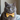 The Kinda Salty Cat Bow Tie