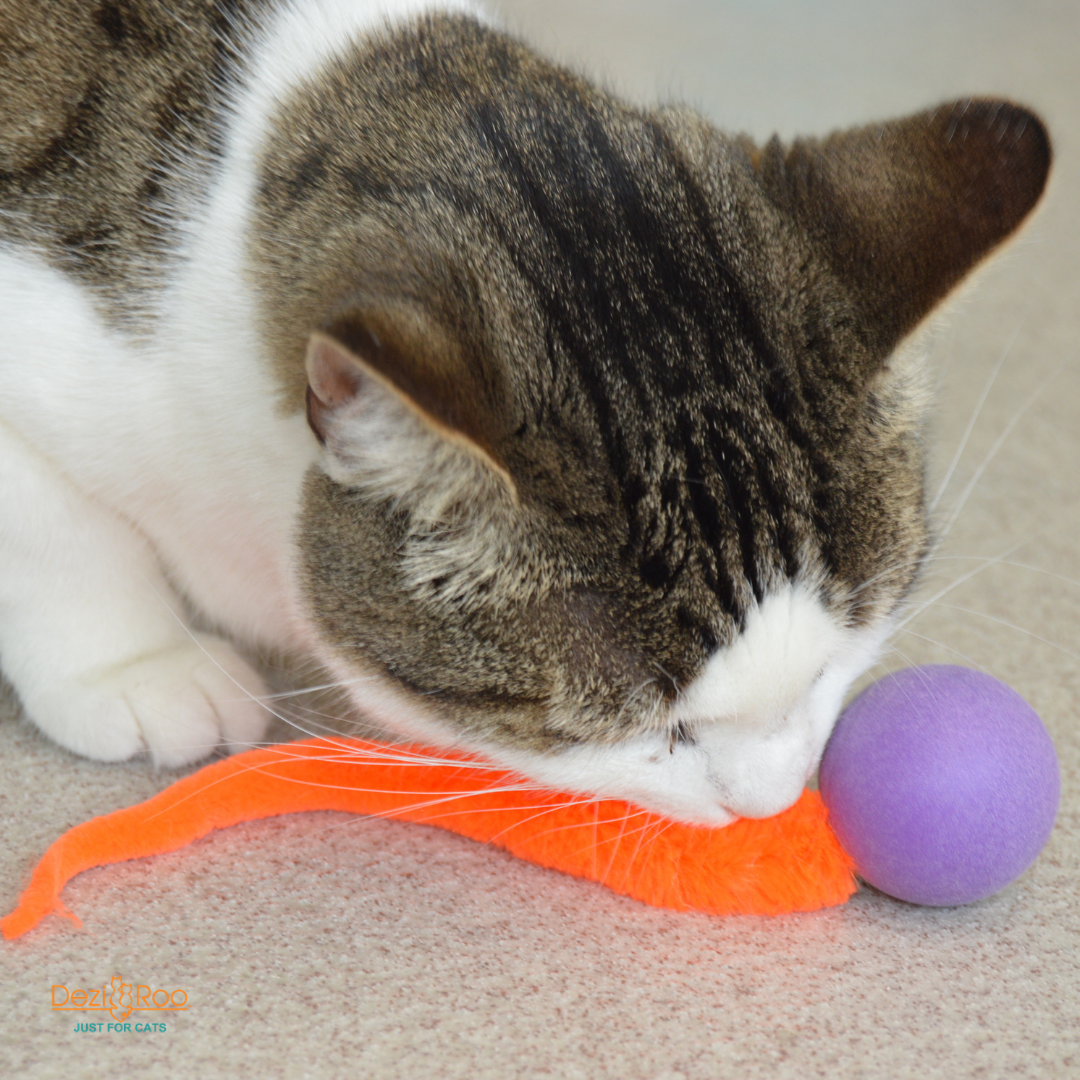 Ping Pong Ball Cat Toy With Long Orange Wiggly Tail