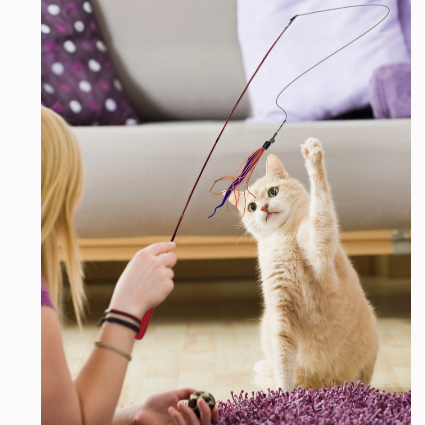 Telescoping Wand feature for Adjustable Play with Wiggly Wand Cat Toy