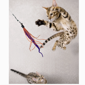 Handcrafted Wiggly Wand Cat Toy with Detachable Worm and Tassel Toy