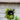Hanging planter with a black cat design on a white background