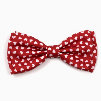 Hearts Bow Tie in red with an all-over print of white hearts for cats.