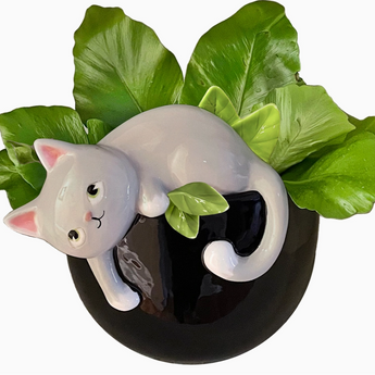 Ceramic black planter featuring a playful grey tabby cat reaching its paw.