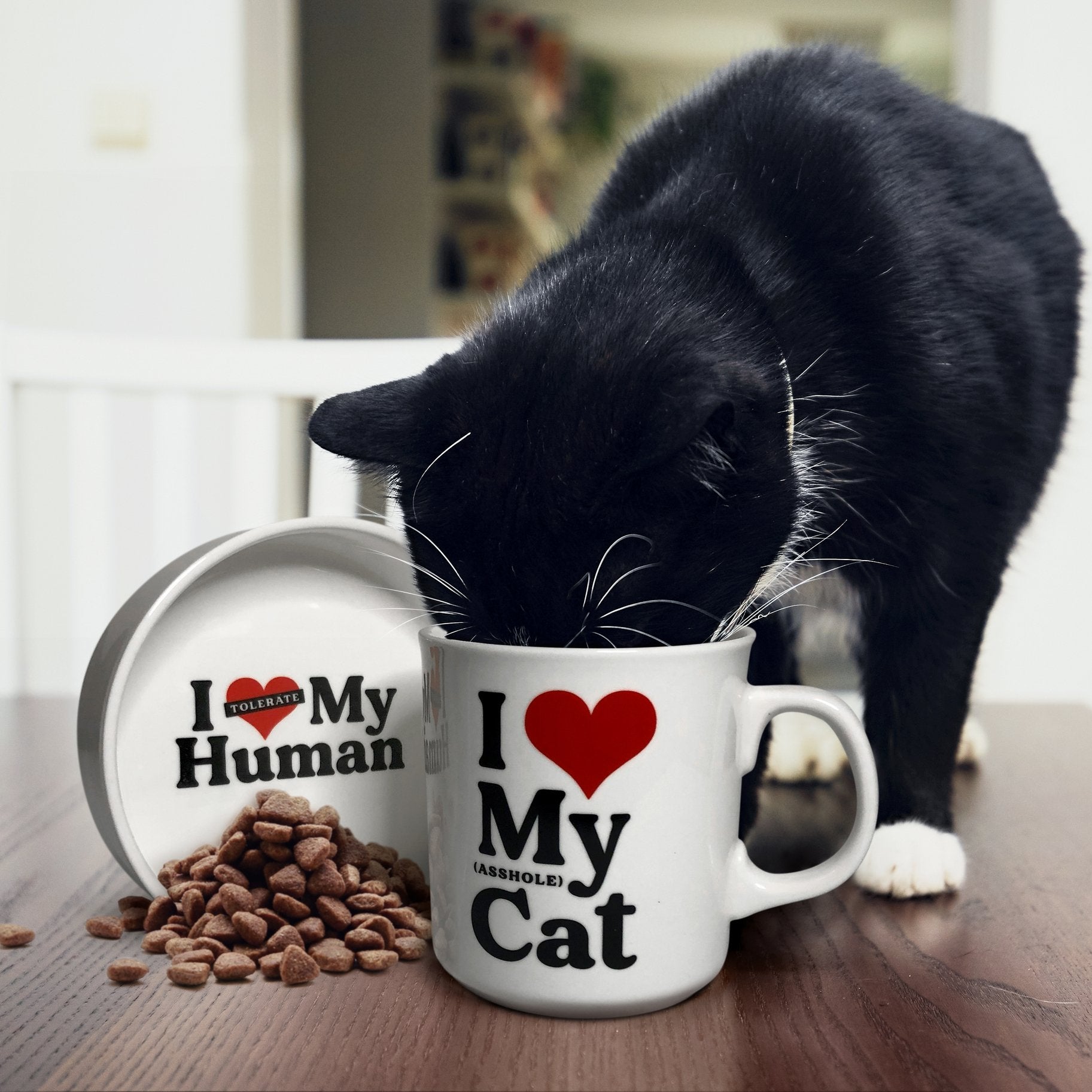 Novelty Gifts For Cat Lovers, I Love My A-hole Cat Coffee Mug, I Tolerate My Human Cat Food Bowl