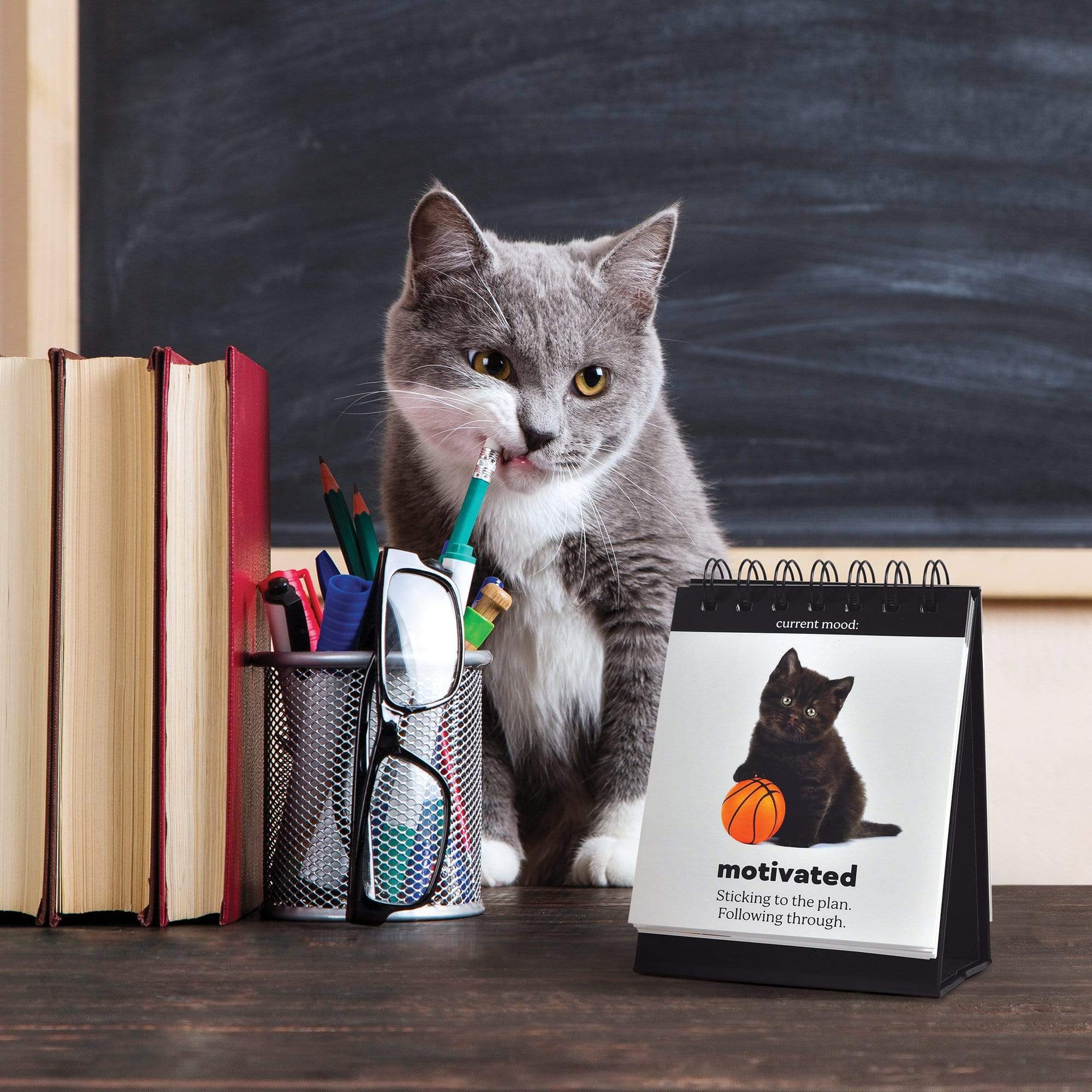 Funny Cat Themed Gifts, Cat Flipchart For Desk