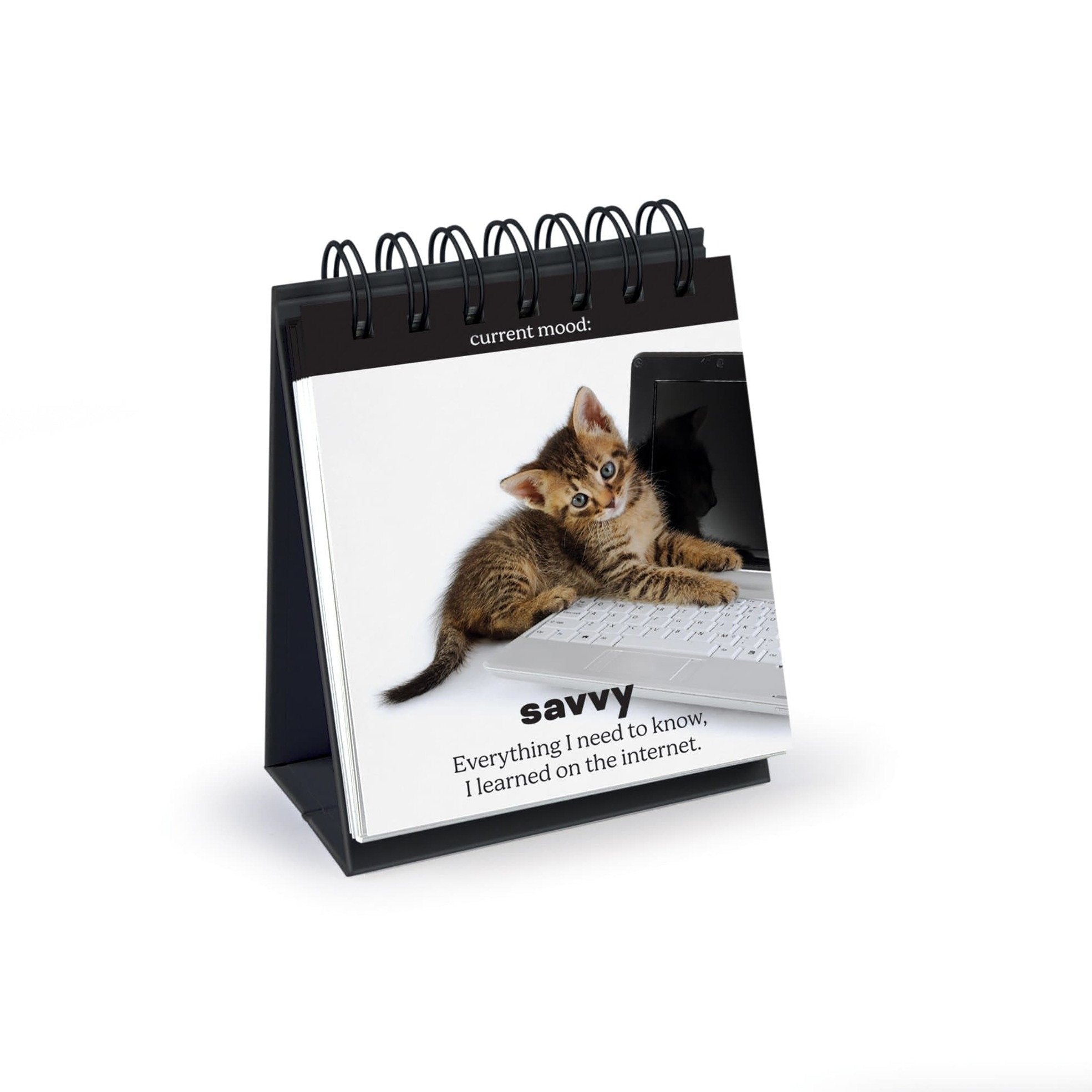 Cat Themed Office Supplies, Daily Cattitudes Desk Cat Flipchart