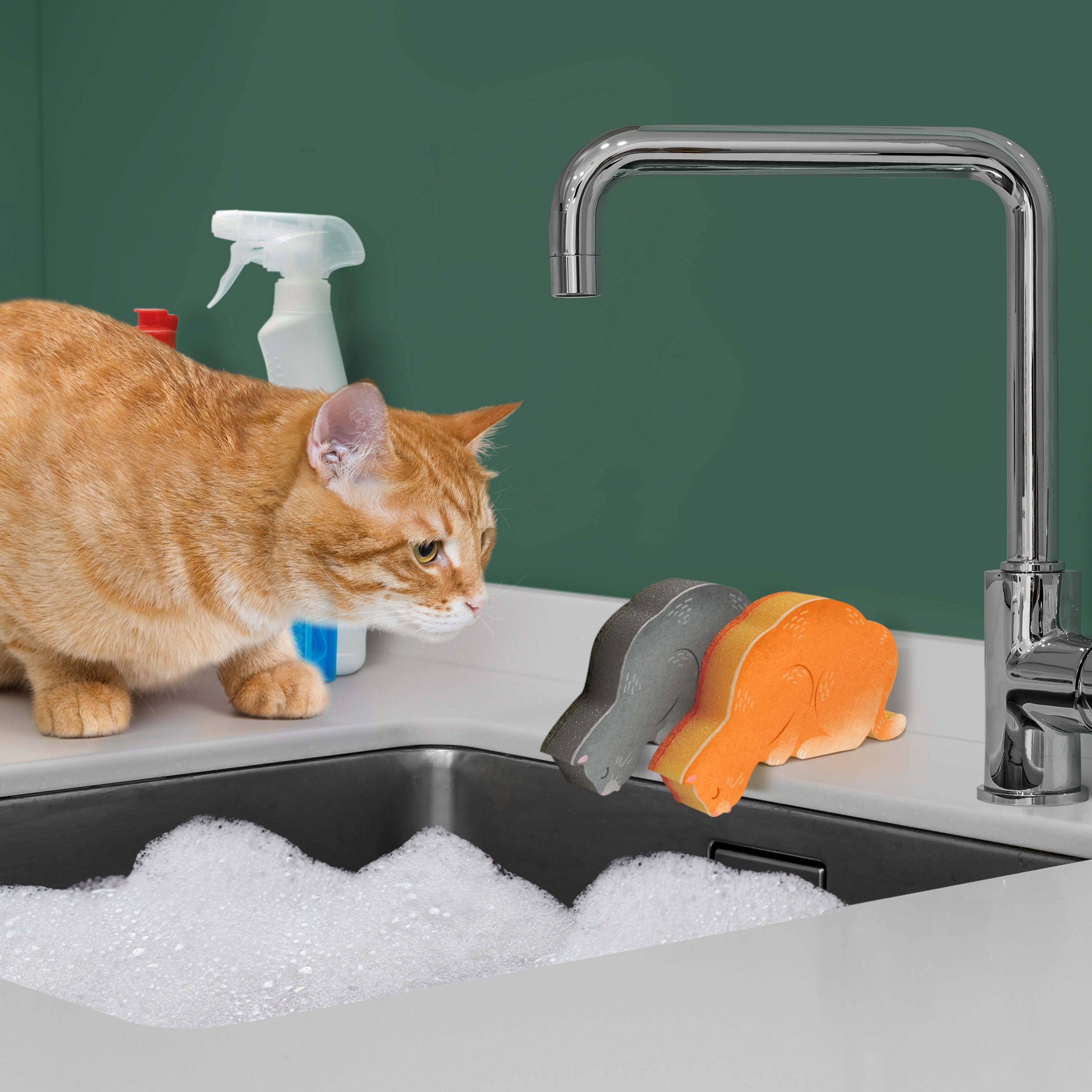 Cat Themed Kitchen Accessories, Cat Sponges