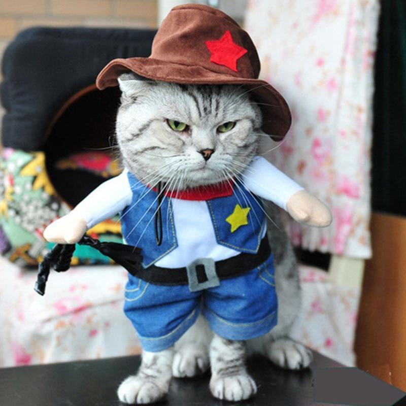 Cat Halloween Costume Featuring a Cowboy Outfit and a Hat