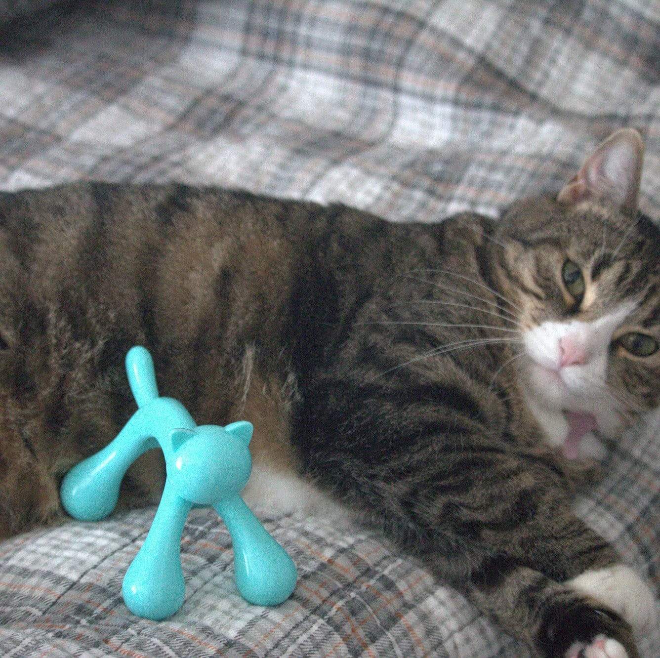 Funny Cat Gifts for cat Lovers, Blue Cat Shaped Massager