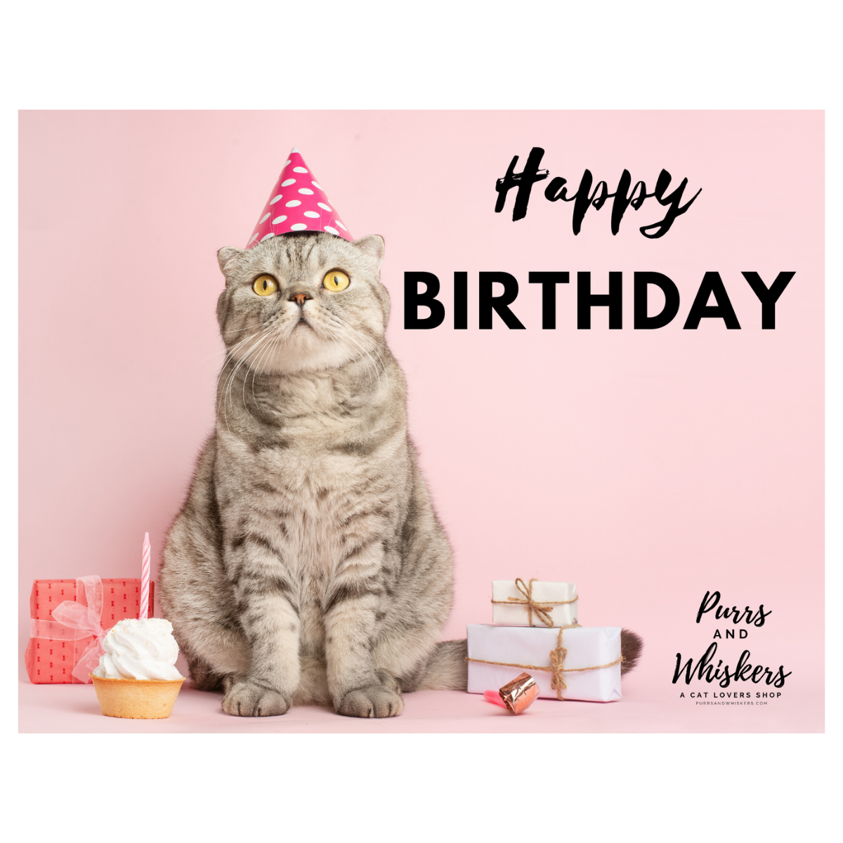 Birthday Gifts for Cat Lovers, $50 Cat Lover Gift Card