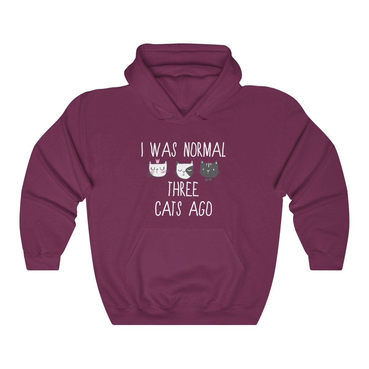 Funny Cat Sweaters, Cat Hoodie for Women with the Print I Was Normal Three Cats Ago